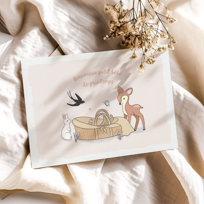 carte dde naissance