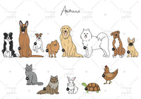choix animaux