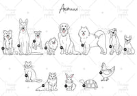 choix animaux