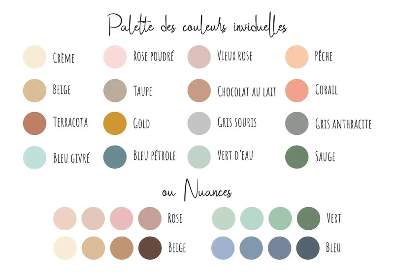 choix couleurs